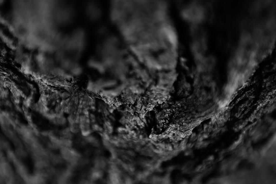 Profile Banner