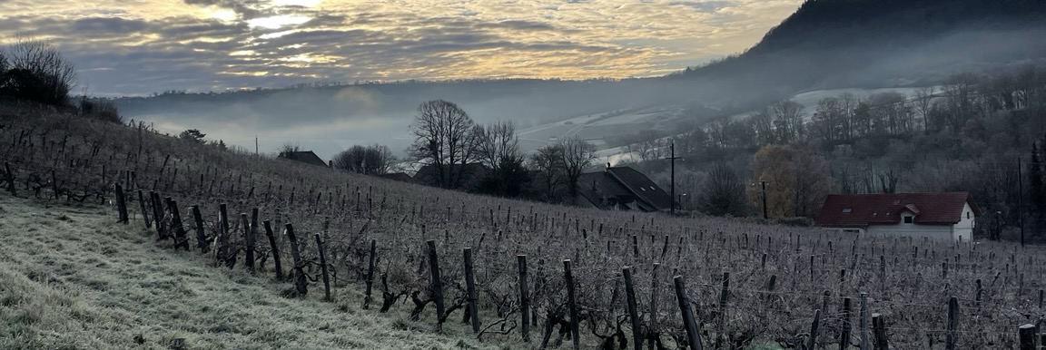 olivier_benoit_music's profile header
