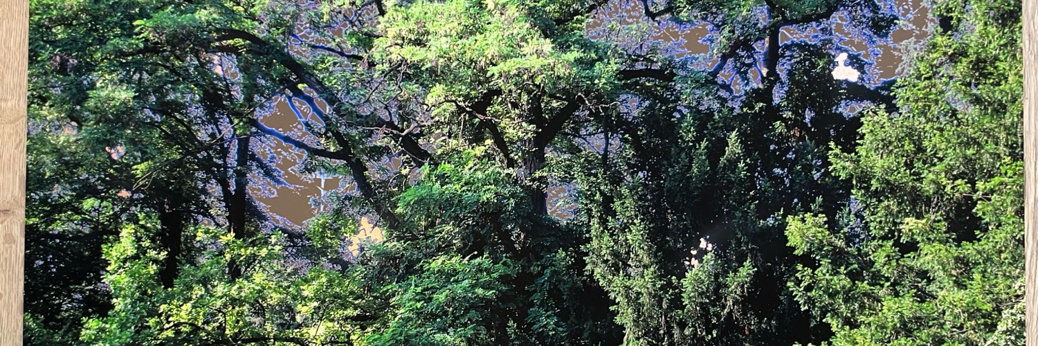 bcalet's profile header