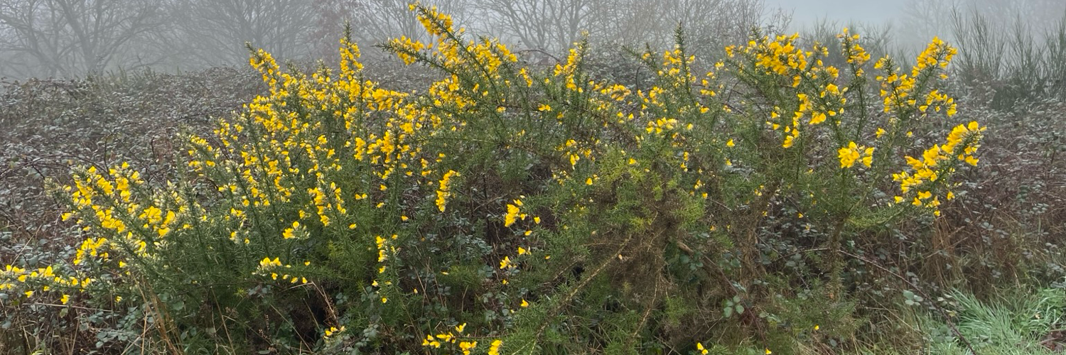 Helene_Diego's profile header