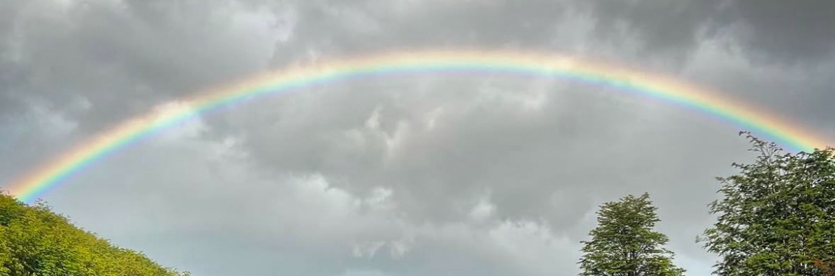 birtona's profile header
