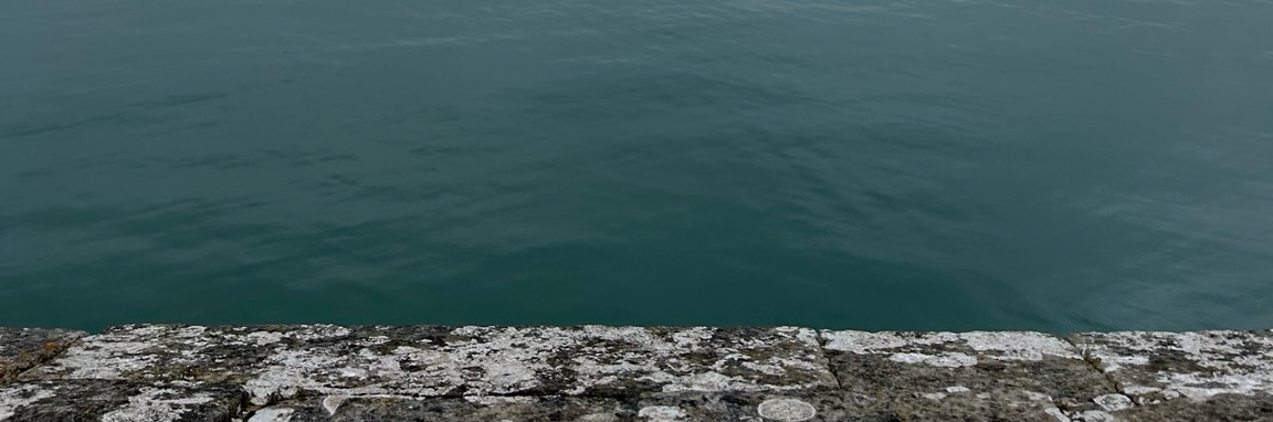 pn_dl_'s profile header