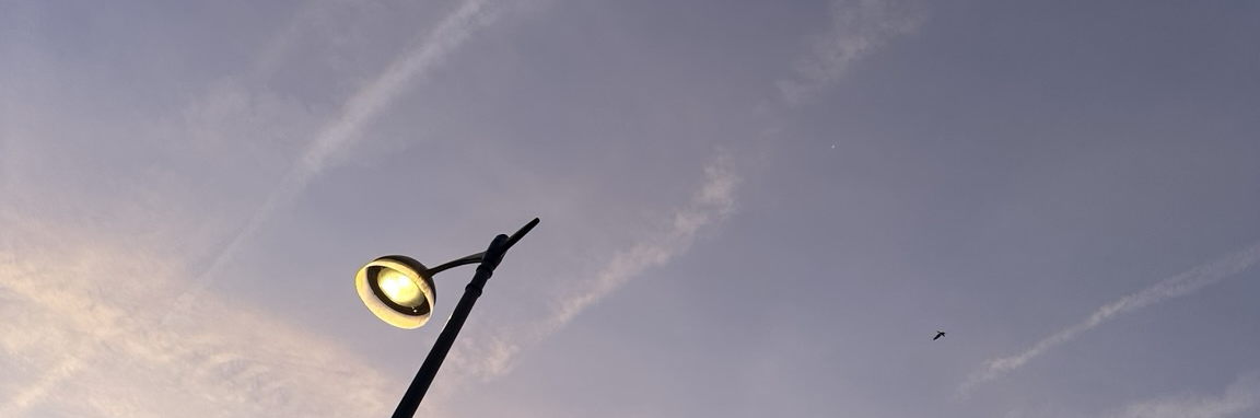 morbahe's profile header
