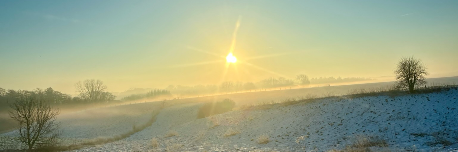 manonledune's profile header