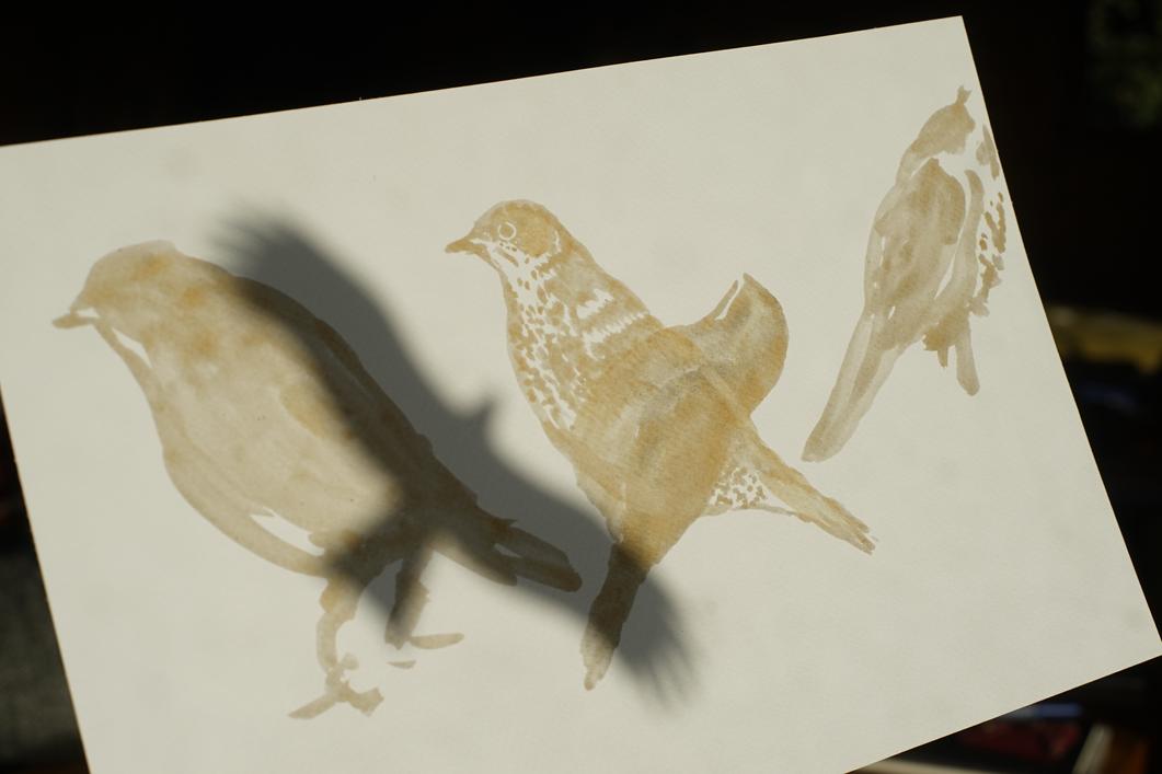 julieknaebel's profile header