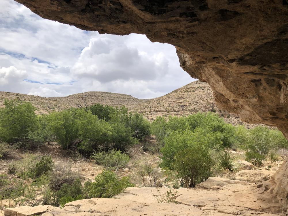 DesertTrail's profile header