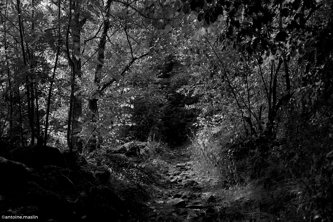 maphotographie's profile header