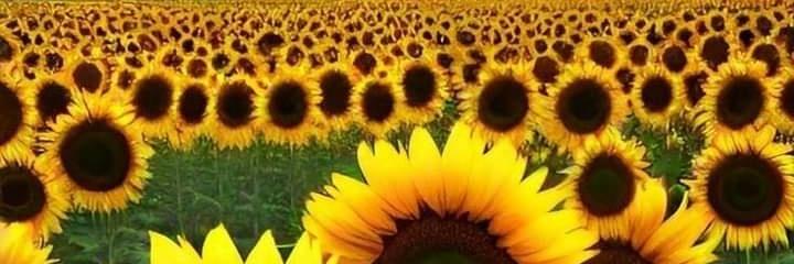 Johnlambert41's profile header
