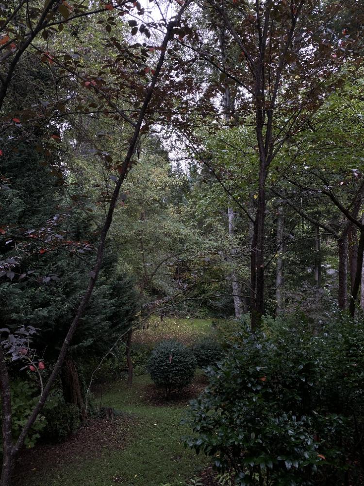 caiti_inthebog's profile header