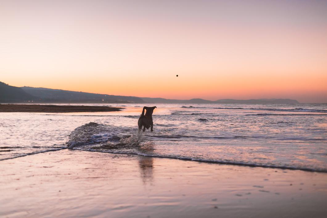Westcoastmaven's profile header