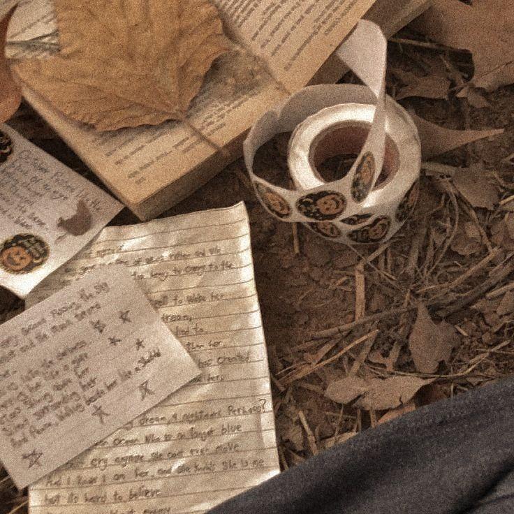 milo_bean1905's profile header
