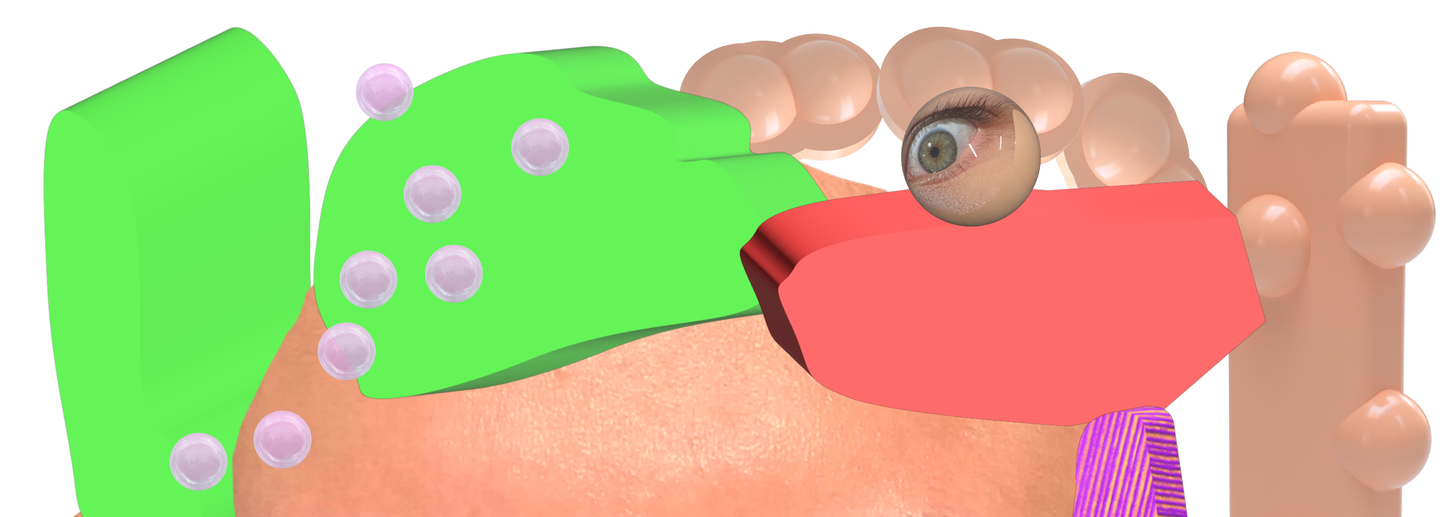 barboramikulova's profile header