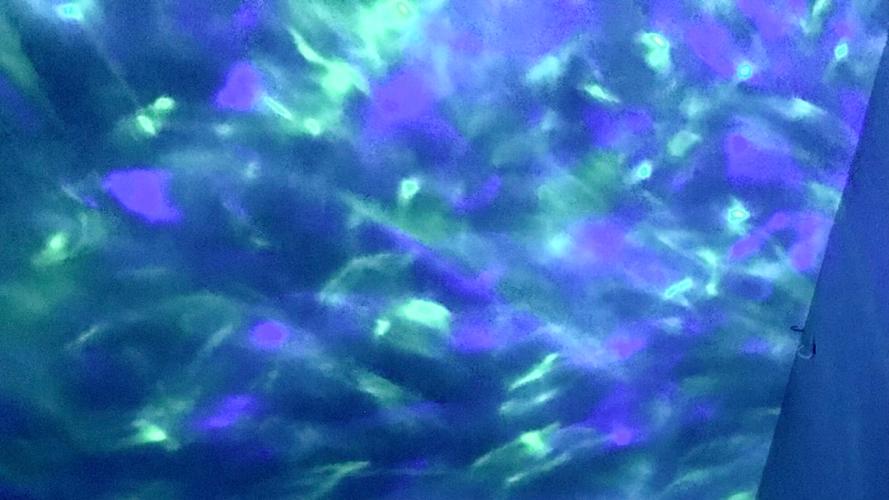 ciwi8's profile header