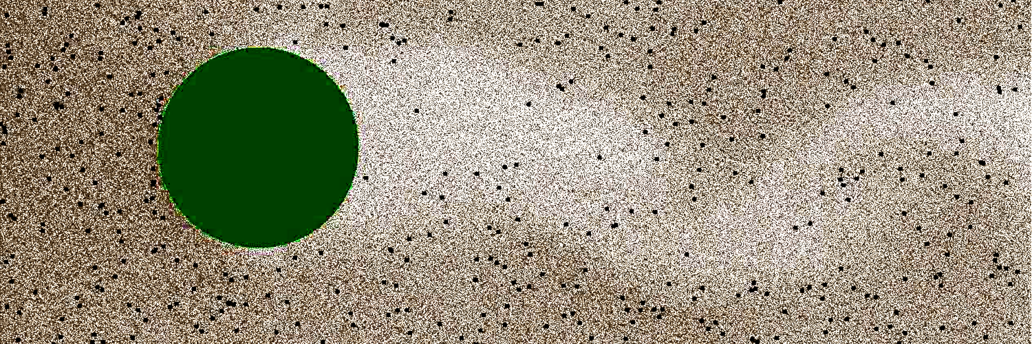 Header Image
