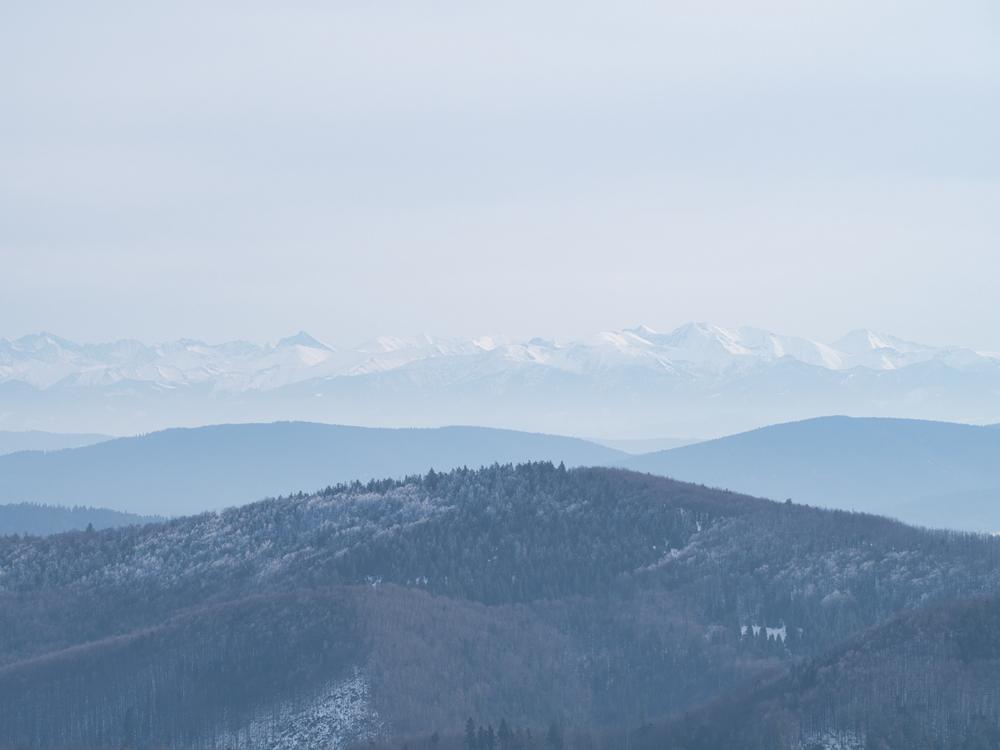 Samuel_Nachtmann's profile header