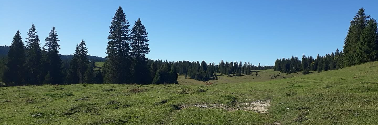 francoiskarlen's profile header