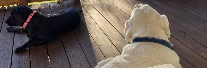 loganmason's profile header