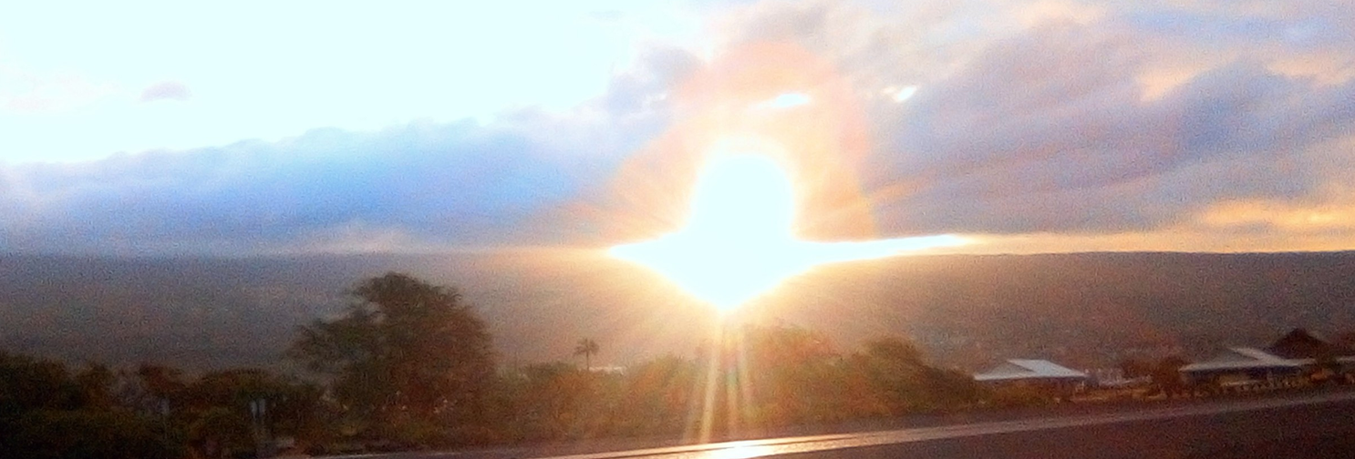 Header Image