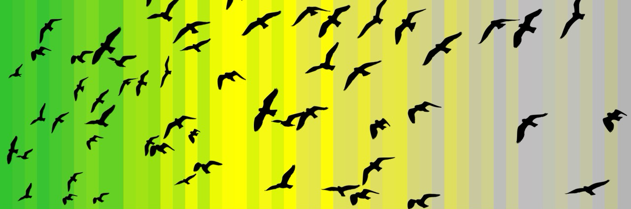 jeffanderson's profile header