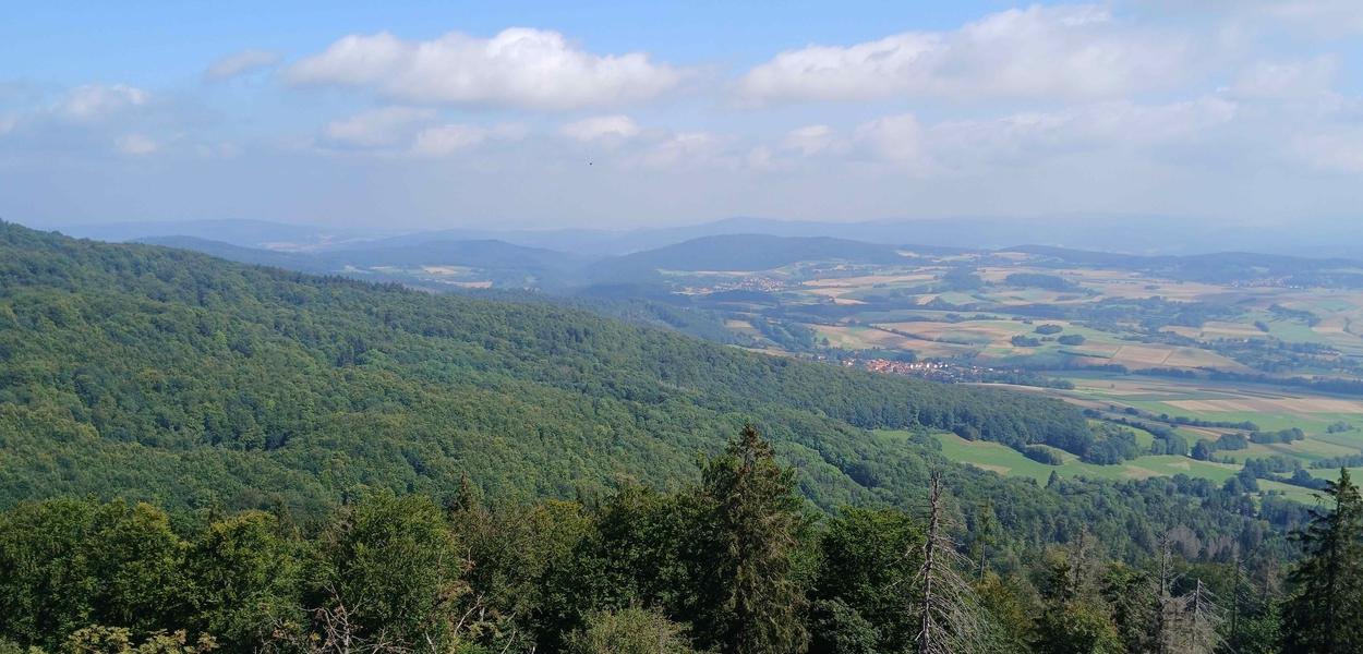Header Image