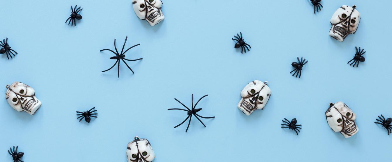 Header Image