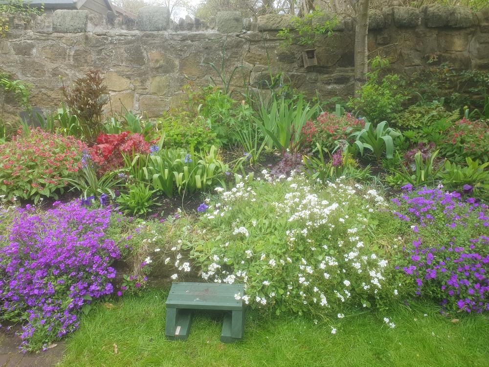 helendawe's profile header