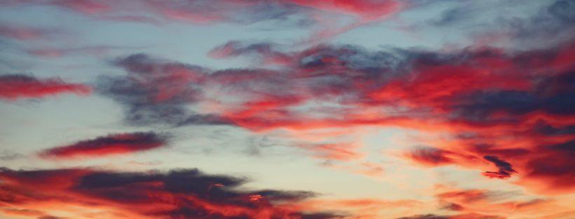 LolaBellucci's profile header