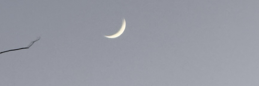 Bannière de ce canal