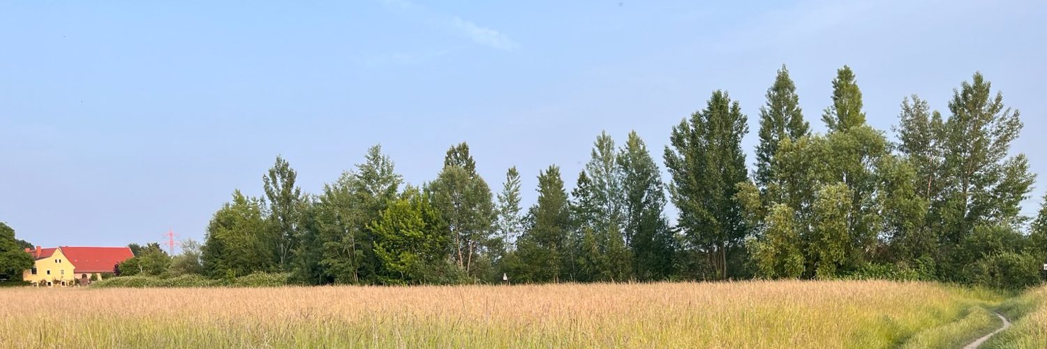 Header Image