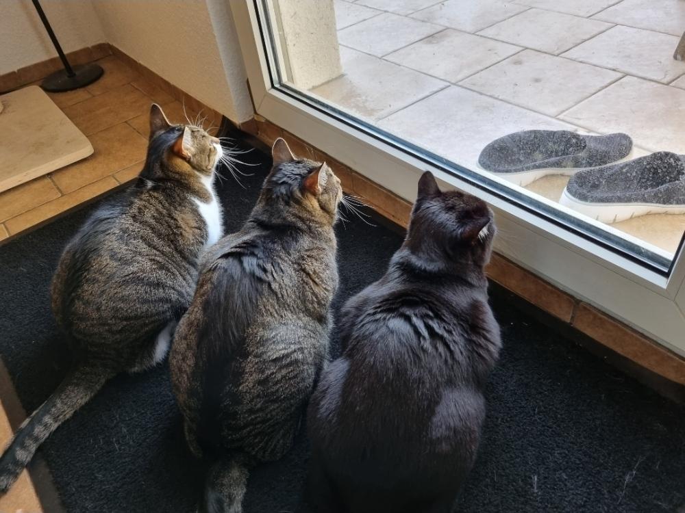 Cover photo for this channel