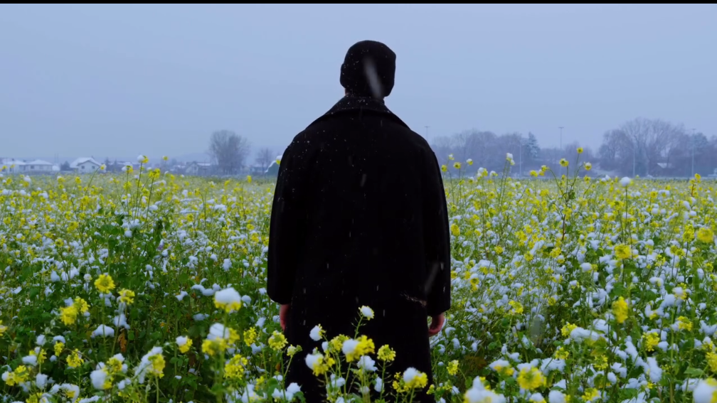 Header Image
