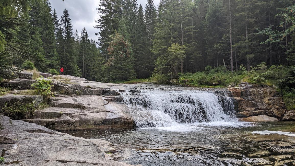 tomas_kukol's profile header