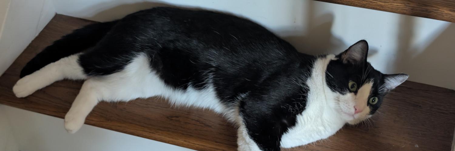 funkierdj's profile header