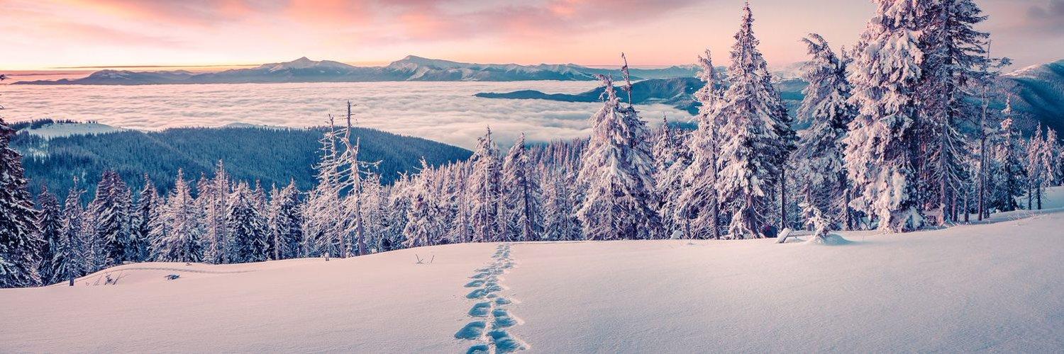 Header Image