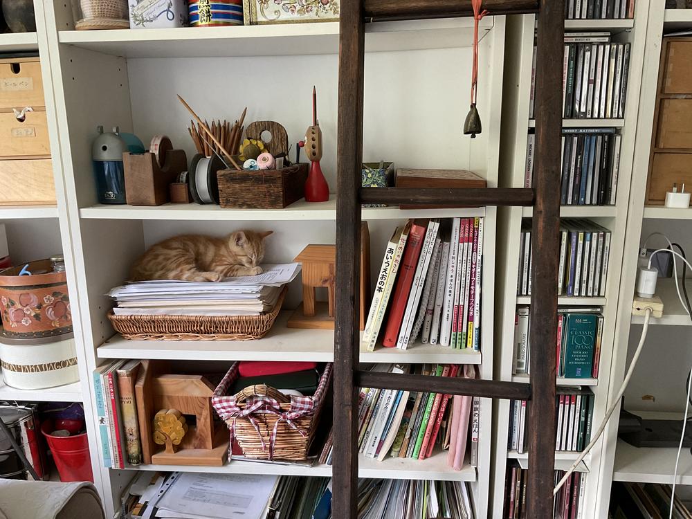 sjpurrs's profile header