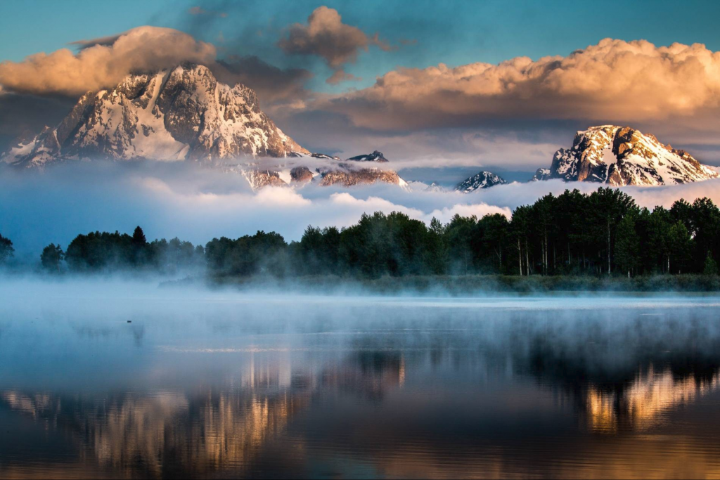 Header Image