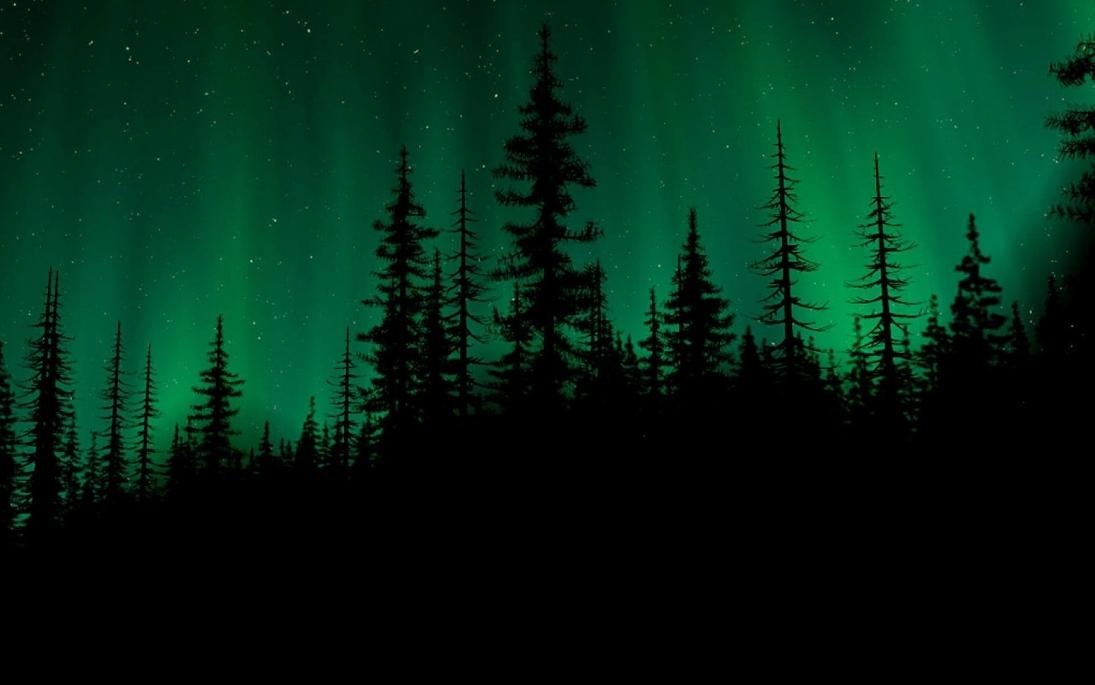 Header Image