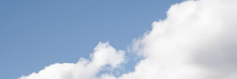 Mastodon banner for @nicel