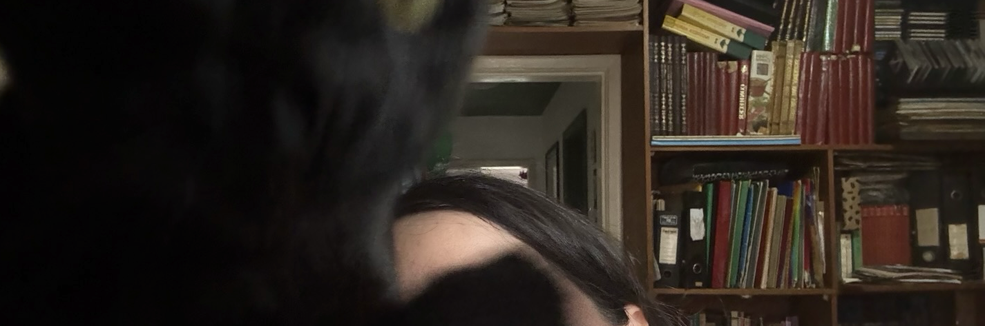 fernandan's profile header