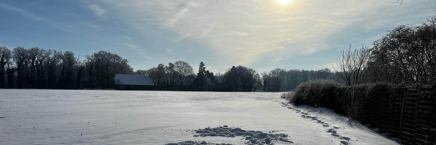 Header Image