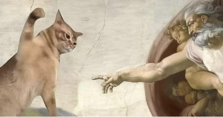 refugiadadoxitterdasilvaa's profile header
