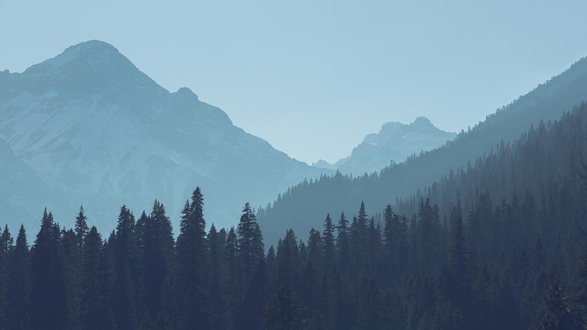 Header Image