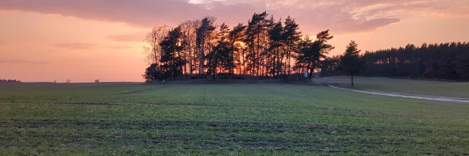 Header Image