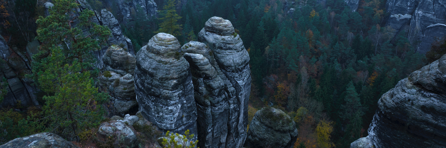 Header Image