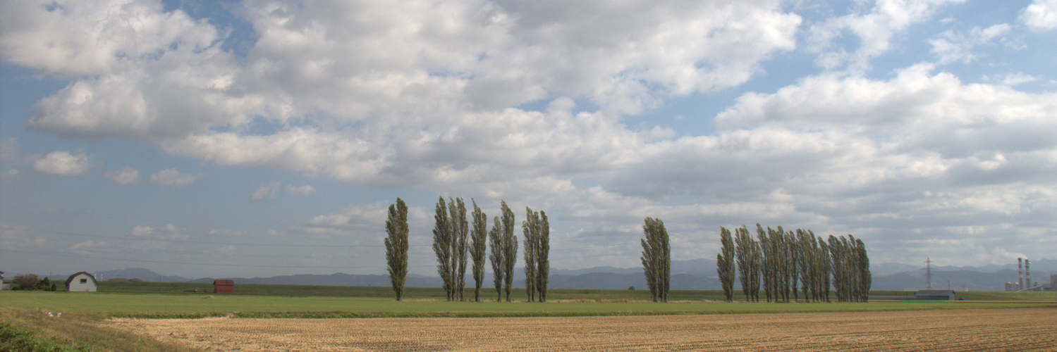 Header Image