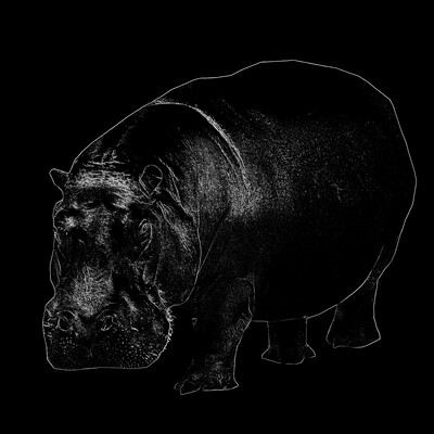 autonomous_hippopotamus's avatar