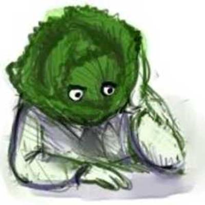 zedascouves's avatar
