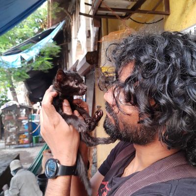 inaquietraj's avatar