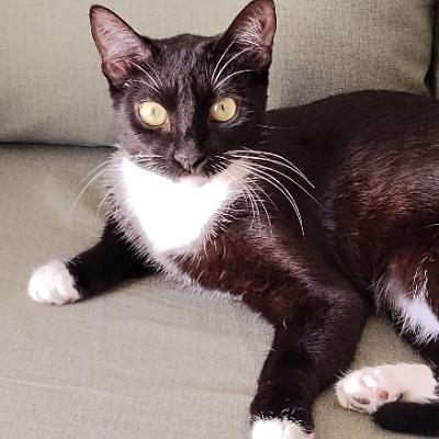 DeBMC's avatar