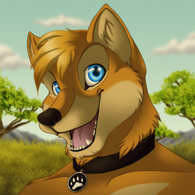 dingo's avatar